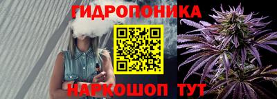 apvp Беслан
