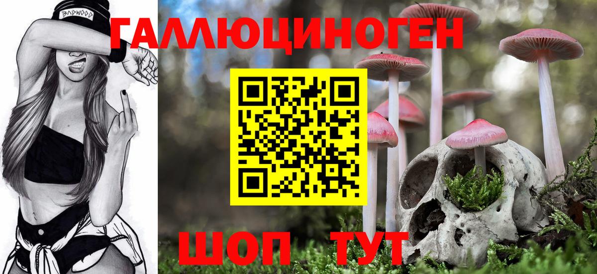 Псилоцибиновые грибы Cubensis  Вход с VPN  Псилоцибиновые грибы Magic Shrooms  Калининград 